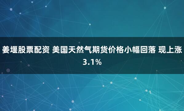 姜堰股票配资 美国天然气期货价格小幅回落 现上涨3.1%