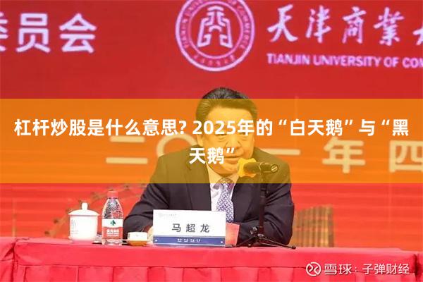 杠杆炒股是什么意思? 2025年的“白天鹅”与“黑天鹅”