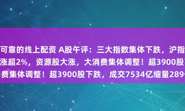 可靠的线上配资 A股午评：三大指数集体下跌，沪指跌0.46%北证50逆势涨超2%，资源股大涨，大消费集体调整！超3900股下跌，成交7534亿缩量289亿