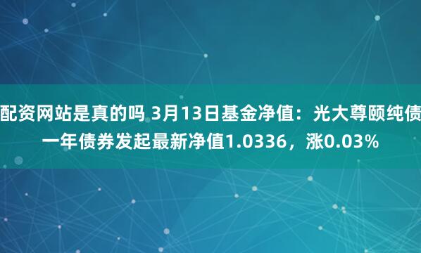 配资网站是真的吗 3月13日基金净值：光大尊颐纯债一年债券发起最新净值1.0336，涨0.03%